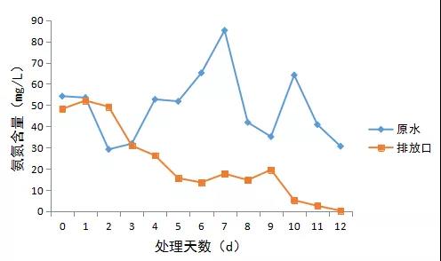 乳制品氨氮超標(biāo)快速降解