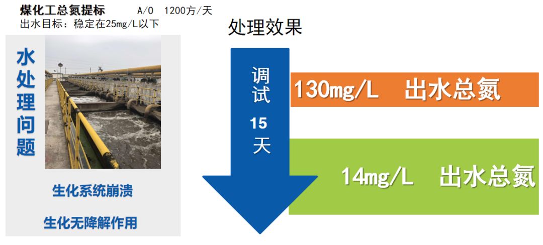 庫巴魯微生物降解案例