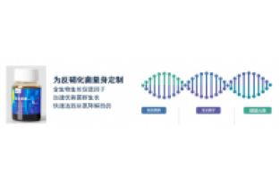 復合碳源對比葡萄糖優(yōu)勢