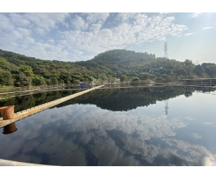 廣西某生活污水氨氮去除處理案例—庫巴魯