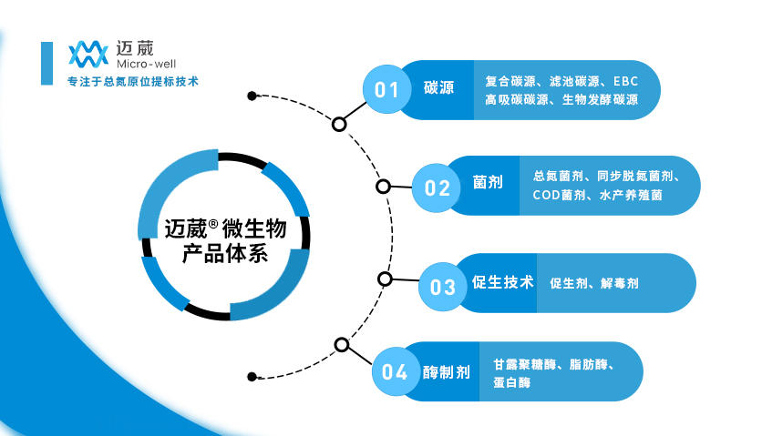 邁葳專注于總氮原位提標(biāo)技術(shù)