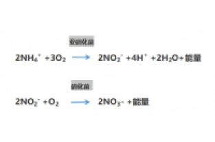 食品廢水氨氮超標(biāo)，你可以這么做